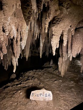 おきなわワールドに投稿された画像（2022/6/7）