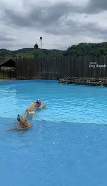 わんダフルネイチャーヴィレッジに投稿された画像（2022/6/7）