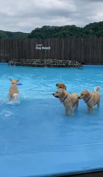 わんダフルネイチャーヴィレッジに投稿された画像（2022/6/7）