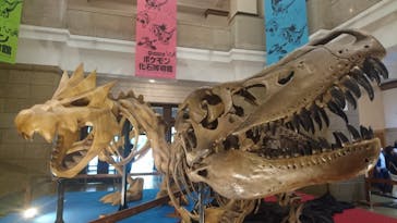 国立科学博物館　特別企画展「ポケモン化石博物館」に投稿された画像（2022/6/7）