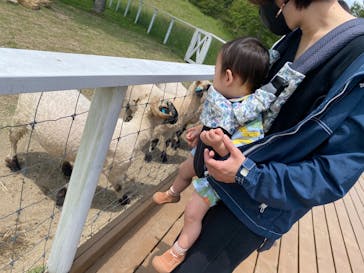 那須どうぶつ王国に投稿された画像（2022/6/7）