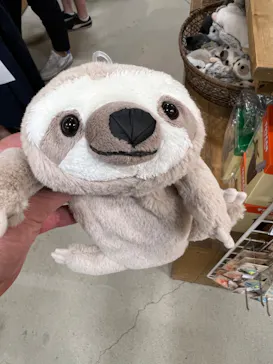 神戸どうぶつ王国に投稿された画像（2022/6/7）