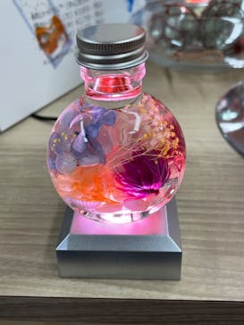 伊勢夫婦岩めおと横丁　めおと岩アクティビティに投稿された画像（2022/6/7）