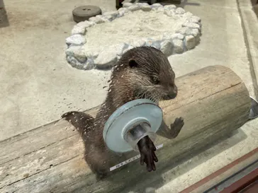 横浜・八景島シーパラダイスに投稿された画像（2022/6/7）