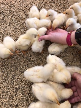 Moff アニマル カフェ イーアス 高尾店に投稿された画像（2022/6/7）