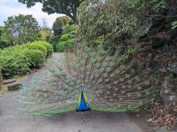 伊豆シャボテン動物公園に投稿された画像（2022/6/7）