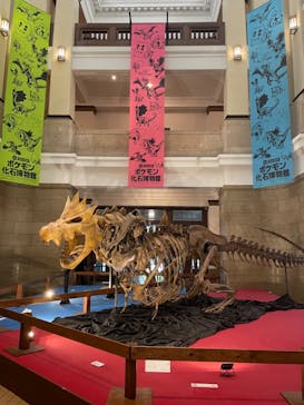 国立科学博物館　特別企画展「ポケモン化石博物館」に投稿された画像（2022/6/7）