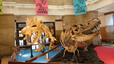 国立科学博物館　特別企画展「ポケモン化石博物館」に投稿された画像（2022/6/7）