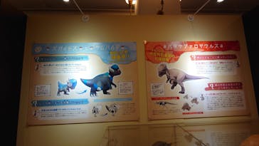 国立科学博物館　特別企画展「ポケモン化石博物館」に投稿された画像（2022/6/7）