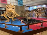 国立科学博物館　特別企画展「ポケモン化石博物館」に投稿された画像（2022/6/8）