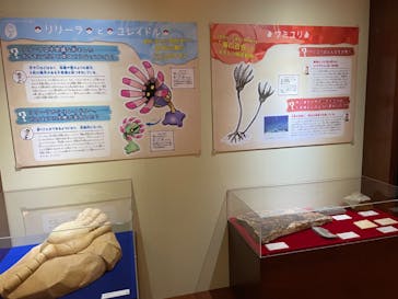 国立科学博物館　特別企画展「ポケモン化石博物館」に投稿された画像（2022/6/7）