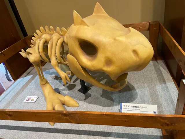 ポケモンの化石とその生い立ちが ルナ さまの口コミ アソビュー