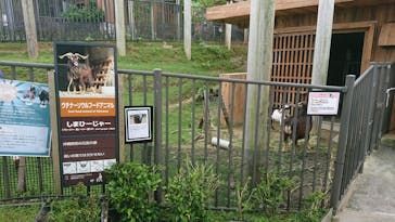 沖縄こどもの国に投稿された画像（2022/6/7）