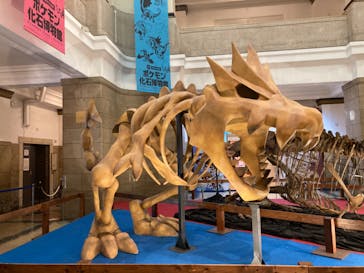 国立科学博物館　特別企画展「ポケモン化石博物館」に投稿された画像（2022/6/8）