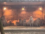 伊豆シャボテン動物公園に投稿された画像（2022/6/8）