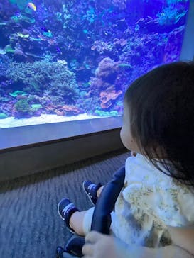 大分マリーンパレス水族館 「うみたまご」に投稿された画像（2022/6/8）