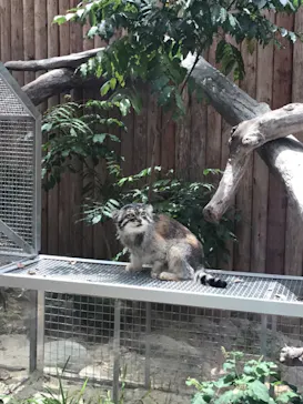 神戸どうぶつ王国に投稿された画像（2022/6/8）