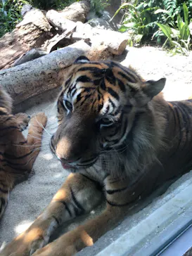 神戸どうぶつ王国に投稿された画像（2022/6/8）