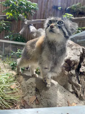 神戸どうぶつ王国に投稿された画像（2022/6/8）