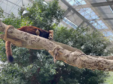 神戸どうぶつ王国に投稿された画像（2022/6/8）