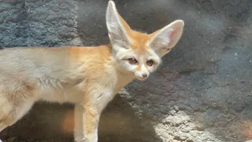 神戸どうぶつ王国に投稿された画像（2022/6/8）