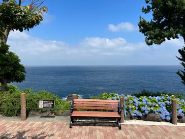 ニューヨークランプミュージアム＆フラワーガーデンに投稿された画像（2022/6/8）