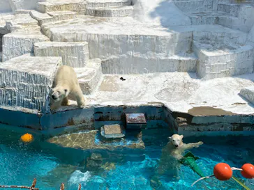 天王寺動物園に投稿された画像（2022/6/8）
