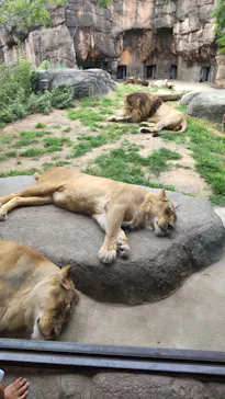 天王寺動物園に投稿された画像（2022/6/8）
