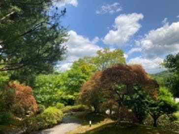 上方温泉 一休 京都本館に投稿された画像（2022/6/8）