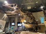 国立科学博物館に投稿された画像（2022/6/8）