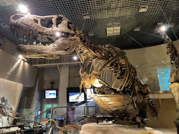 国立科学博物館に投稿された画像（2022/6/8）
