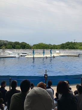 京都鉄道博物館×京都水族館に投稿された画像（2022/6/8）