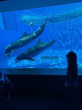 九十九島水族館海きららに投稿された画像（2022/6/8）