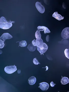 サンシャイン水族館に投稿された画像（2022/6/8）