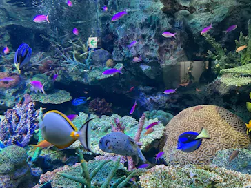 サンシャイン水族館に投稿された画像（2022/6/8）