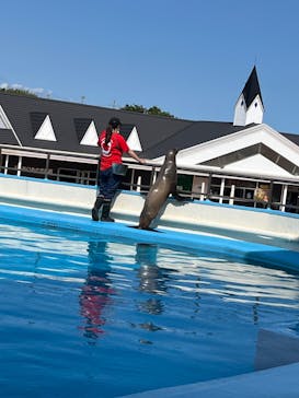 南知多ビーチランド＆南知多おもちゃ王国に投稿された画像（2022/6/9）