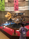 国立科学博物館　特別企画展「ポケモン化石博物館」に投稿された画像（2022/6/9）