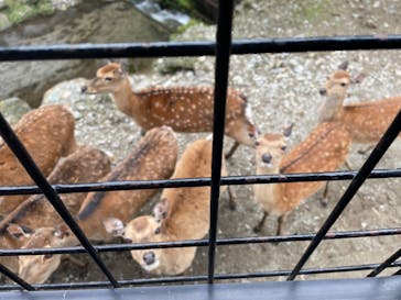 那須サファリパークに投稿された画像（2022/6/9）