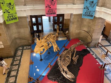 国立科学博物館　特別企画展「ポケモン化石博物館」に投稿された画像（2022/6/9）
