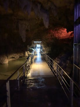 おきなわワールドに投稿された画像（2022/6/9）