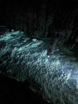 おきなわワールドに投稿された画像（2022/6/9）