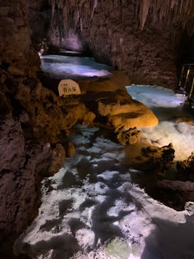 おきなわワールドに投稿された画像（2022/6/9）