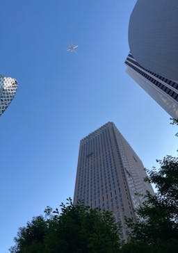 シダネルとマルタン展（SOMPO美術館）に投稿された画像（2022/6/9）