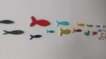 京都水族館に投稿された画像（2022/6/9）