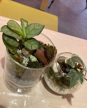 伊勢夫婦岩めおと横丁　めおと岩アクティビティに投稿された画像（2022/6/9）