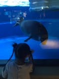 サンシャイン水族館に投稿された画像（2022/6/10）