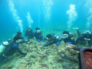 武藤潜水に投稿された画像（2022/6/10）