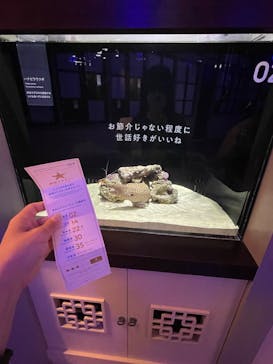 横浜開運水族館 フォーチュンアクアリウムに投稿された画像（2022/6/10）