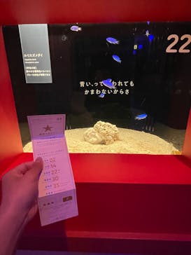 横浜開運水族館 フォーチュンアクアリウムに投稿された画像（2022/6/10）