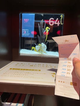 横浜開運水族館 フォーチュンアクアリウムに投稿された画像（2022/6/10）